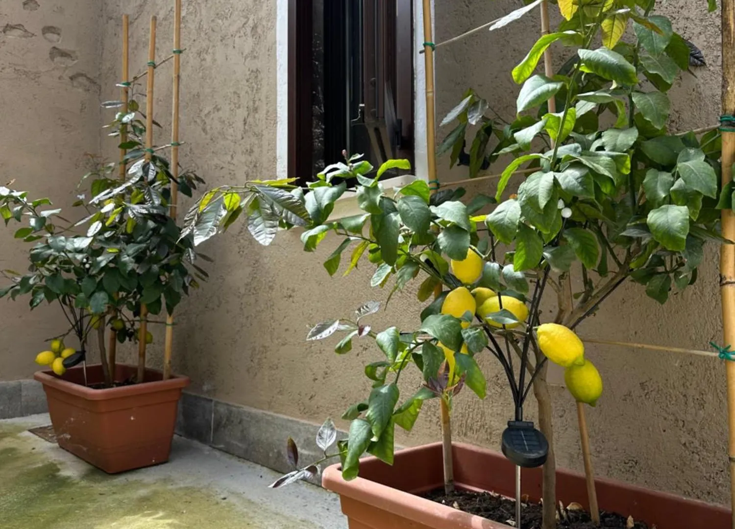 B&B La Corte Puegnago sul Garda 0*,  Italien